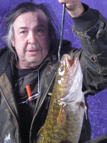 Willy Burbot